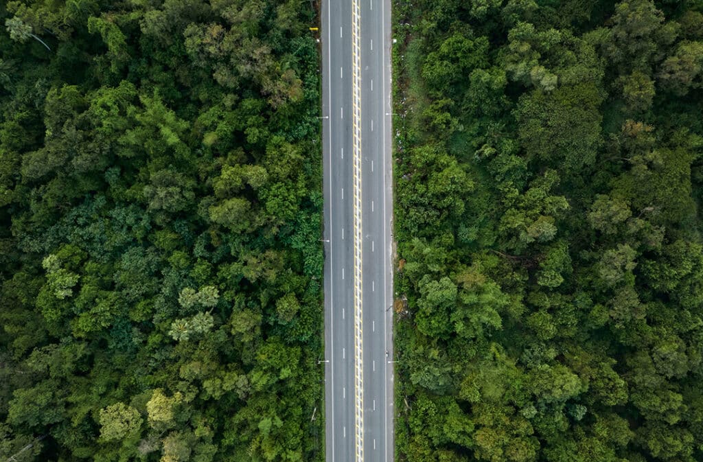a paved road running through a wooded area